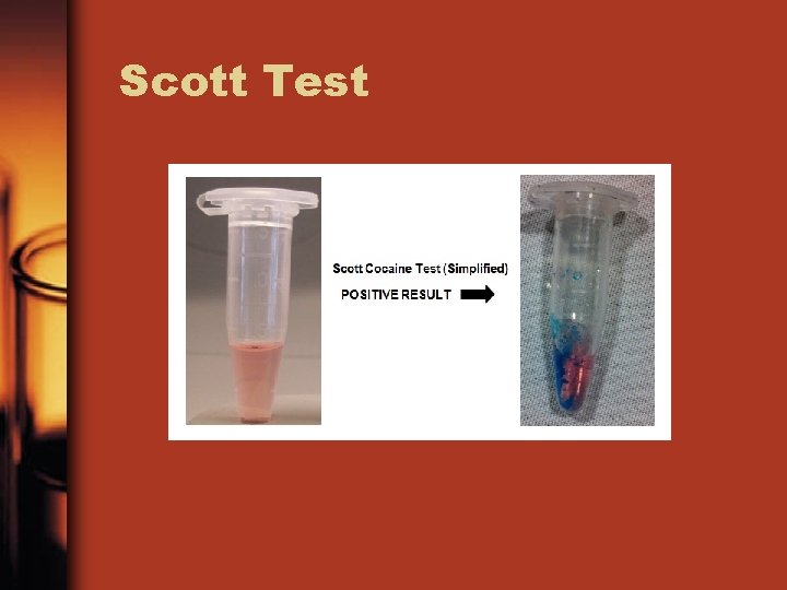 Scott Test 