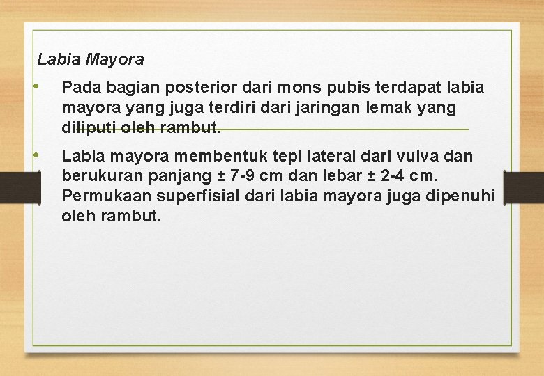 Labia Mayora • Pada bagian posterior dari mons pubis terdapat labia mayora yang juga