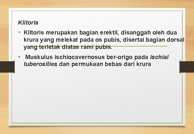 Klitoris • Klitoris merupakan bagian erektil, disanggah oleh dua krura yang melekat pada os