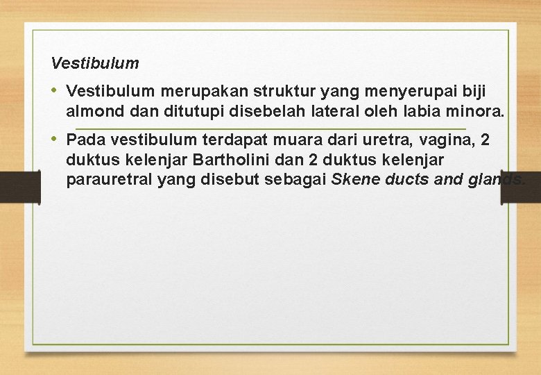 Vestibulum • Vestibulum merupakan struktur yang menyerupai biji almond dan ditutupi disebelah lateral oleh