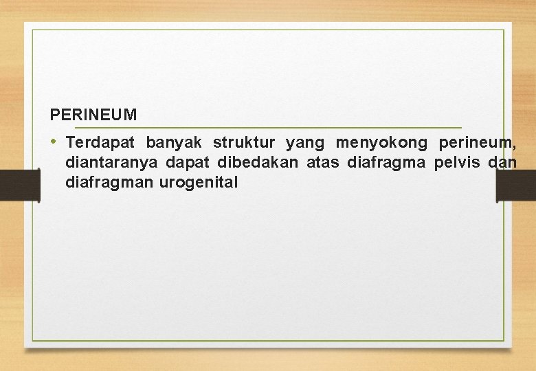 PERINEUM • Terdapat banyak struktur yang menyokong perineum, diantaranya dapat dibedakan atas diafragma pelvis