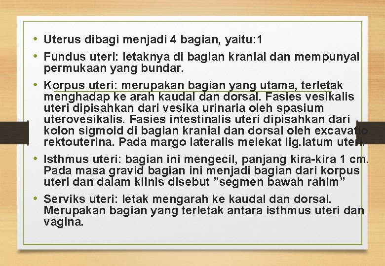  • Uterus dibagi menjadi 4 bagian, yaitu: 1 • Fundus uteri: letaknya di