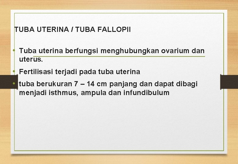 TUBA UTERINA / TUBA FALLOPII • Tuba uterina berfungsi menghubungkan ovarium dan uterus. •