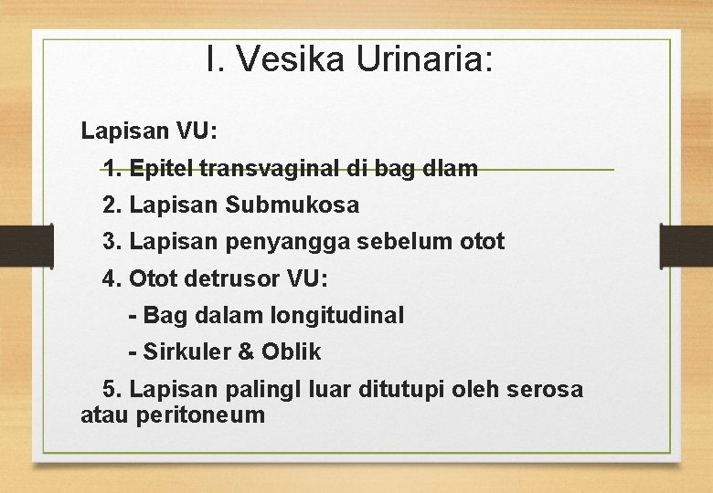 I. Vesika Urinaria: Lapisan VU: 1. Epitel transvaginal di bag dlam 2. Lapisan Submukosa