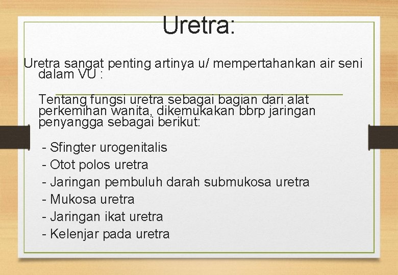 Uretra: Uretra sangat penting artinya u/ mempertahankan air seni dalam VU : Tentang fungsi