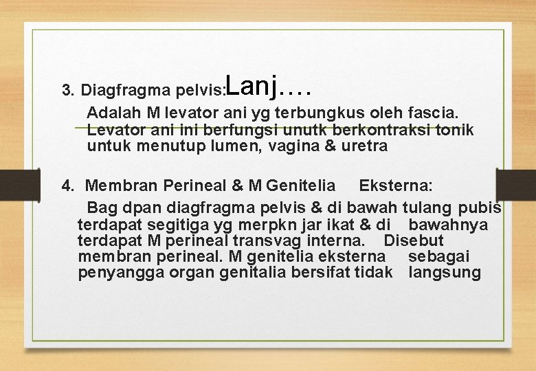 Lanj…. 3. Diagfragma pelvis: Adalah M levator ani yg terbungkus oleh fascia. Levator ani