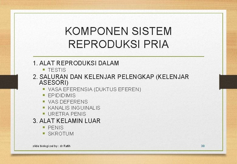 KOMPONEN SISTEM REPRODUKSI PRIA 1. ALAT REPRODUKSI DALAM § TESTIS 2. SALURAN DAN KELENJAR