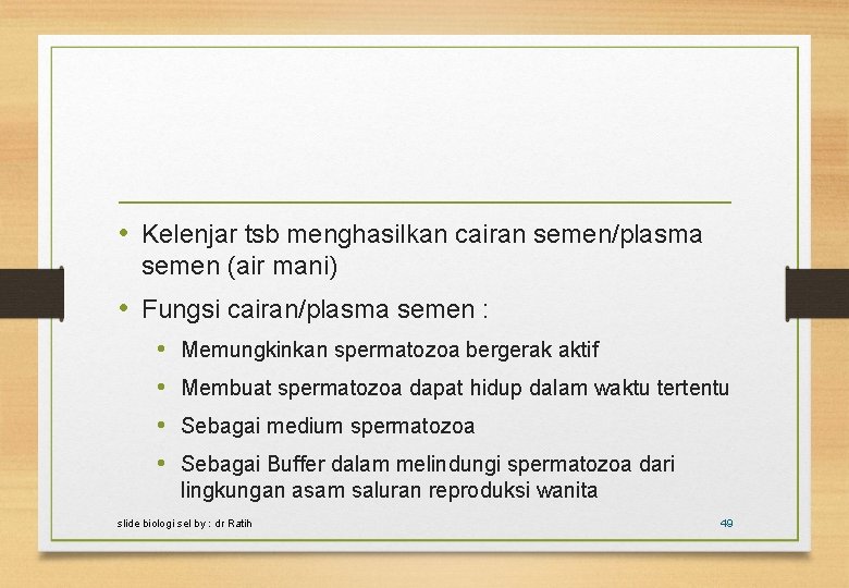  • Kelenjar tsb menghasilkan cairan semen/plasma semen (air mani) • Fungsi cairan/plasma semen