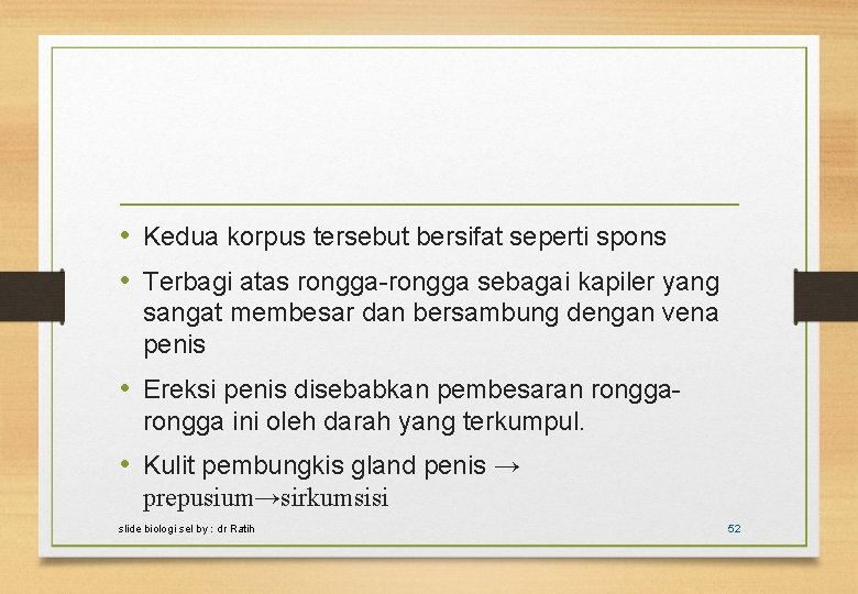  • Kedua korpus tersebut bersifat seperti spons • Terbagi atas rongga-rongga sebagai kapiler