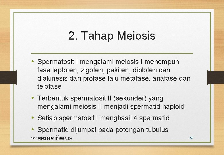 2. Tahap Meiosis • Spermatosit I mengalami meiosis I menempuh fase leptoten, zigoten, pakiten,