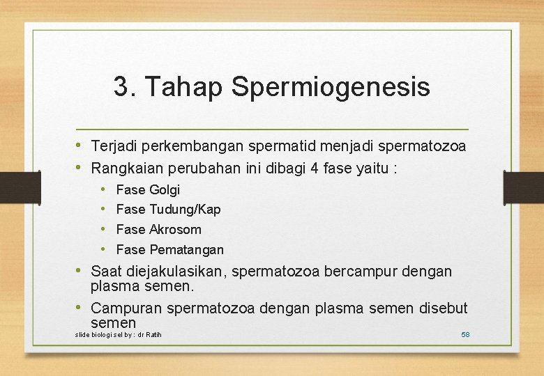 3. Tahap Spermiogenesis • Terjadi perkembangan spermatid menjadi spermatozoa • Rangkaian perubahan ini dibagi