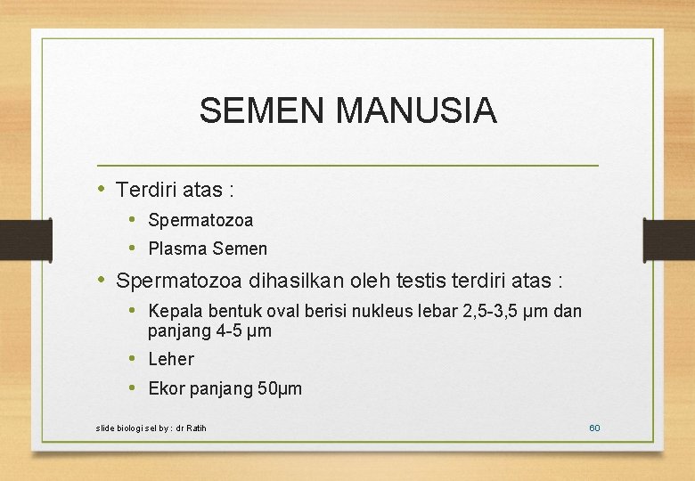 SEMEN MANUSIA • Terdiri atas : • Spermatozoa • Plasma Semen • Spermatozoa dihasilkan