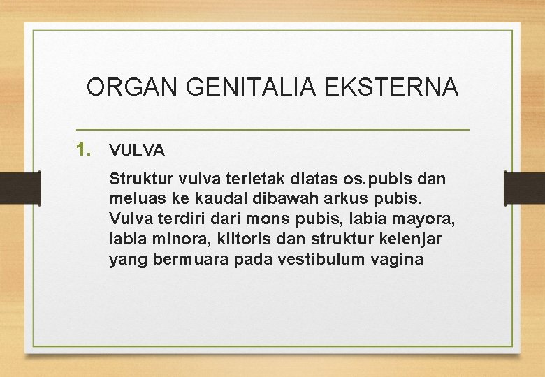 ORGAN GENITALIA EKSTERNA 1. VULVA Struktur vulva terletak diatas os. pubis dan meluas ke