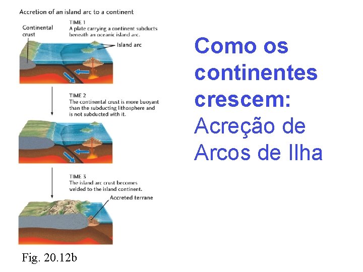 Como os continentes crescem: Acreção de Arcos de Ilha Fig. 20. 12 b 