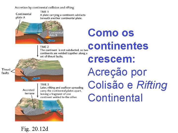 Como os continentes crescem: Acreção por Colisão e Rifting Continental Fig. 20. 12 d