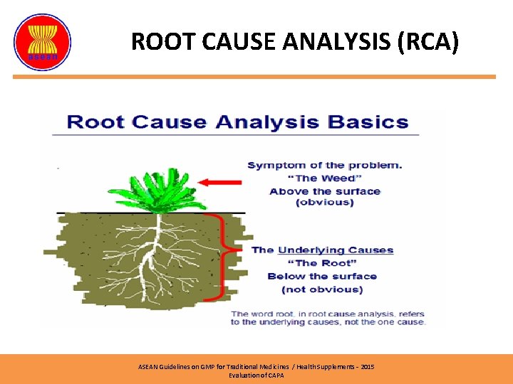 ROOT CAUSE ANALYSIS (RCA) ASEAN Guidelines on GMP for Traditional Medicines / Health Supplements