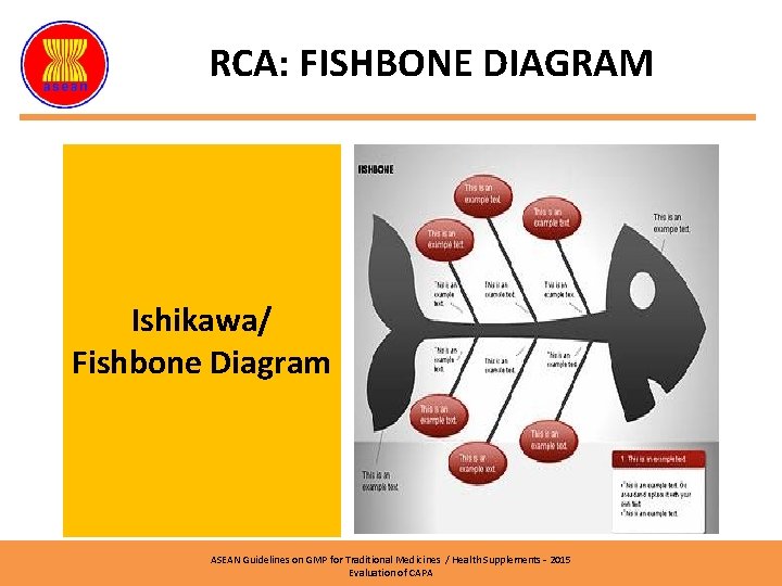 RCA: FISHBONE DIAGRAM Ishikawa/ Fishbone Diagram ASEAN Guidelines on GMP for Traditional Medicines /