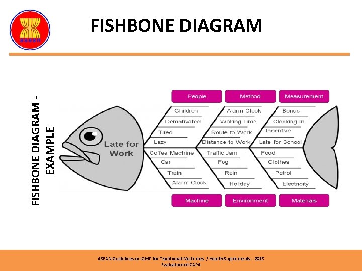 FISHBONE DIAGRAM EXAMPLE FISHBONE DIAGRAM ASEAN Guidelines on GMP for Traditional Medicines / Health