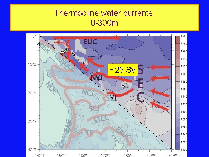 Thermocline water currents: 0 -300 m ~25 Sv 