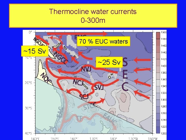 Thermocline water currents 0 -300 m 70 % EUC waters ~15 Sv ~25 Sv Thermocline water currents 0 -300 m 70 % EUC waters ~15 Sv ~25 Sv