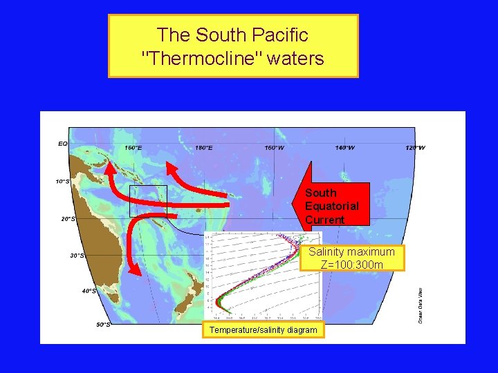 The South Pacific "Thermocline" waters South Equatorial Current Salinity maximum Z=100: 300 m Temperature/salinity The South Pacific "Thermocline" waters South Equatorial Current Salinity maximum Z=100: 300 m Temperature/salinity