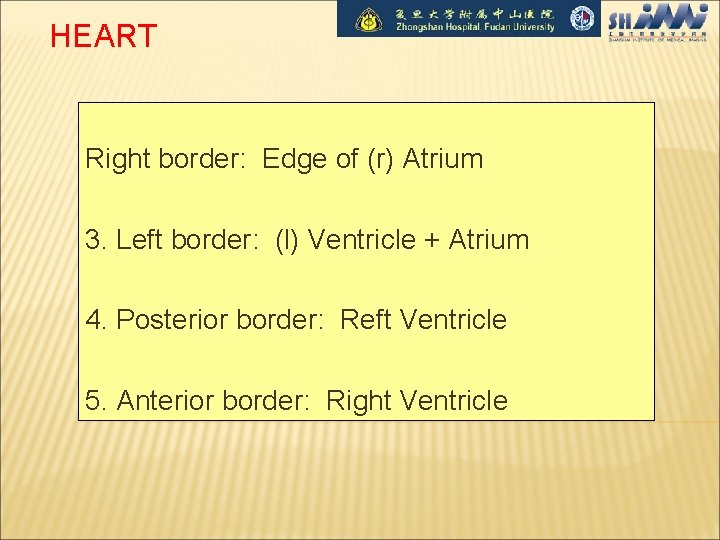 HEART Right border: Edge of (r) Atrium 3. Left border: (l) Ventricle + Atrium