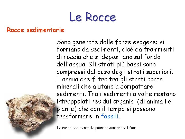 Le Rocce sedimentarie Sono generate dalle forze esogene: si formano da sedimenti, cioè da