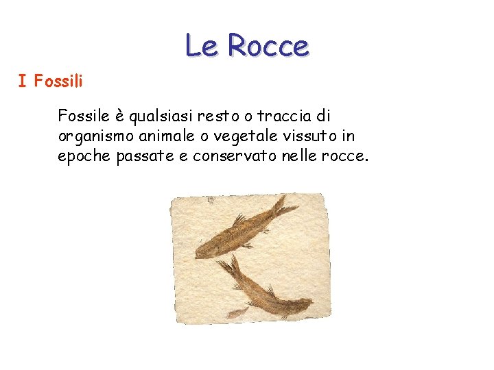 Le Rocce I Fossili Fossile è qualsiasi resto o traccia di organismo animale o