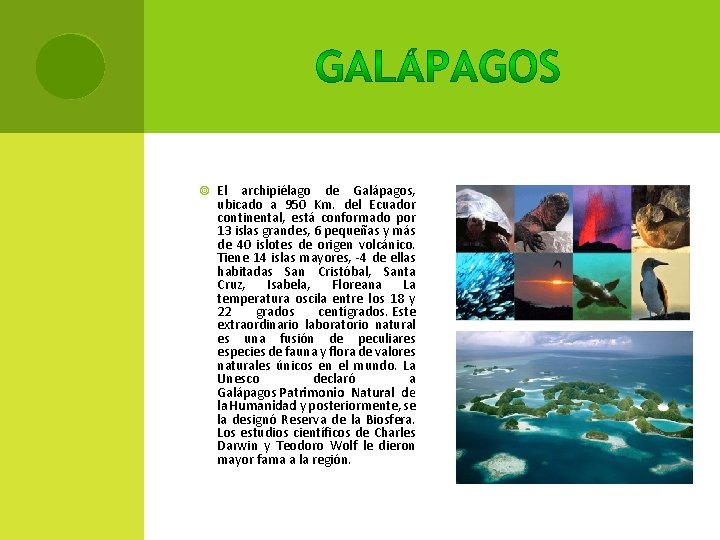  El archipiélago de Galápagos, ubicado a 950 Km. del Ecuador continental, está conformado