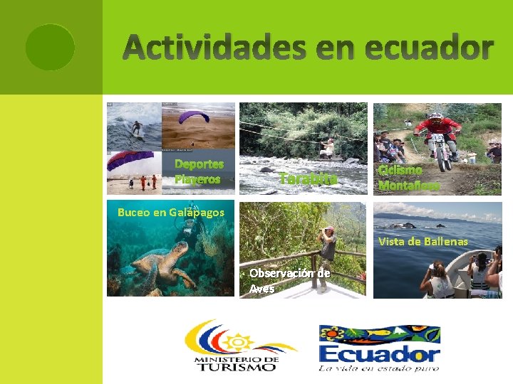 Actividades en ecuador Deportes Playeros Tarabita Ciclismo Montañoso Buceo en Galápagos Vista de Ballenas