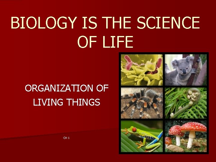 BIOLOGY IS THE SCIENCE OF LIFE ORGANIZATION OF LIVING THINGS CH 1 