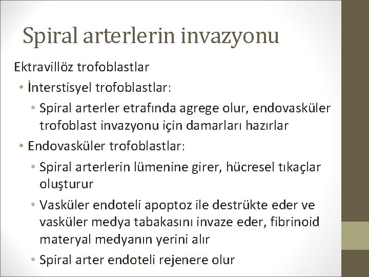 Spiral arterlerin invazyonu Ektravillöz trofoblastlar • İnterstisyel trofoblastlar: • Spiral arterler etrafında agrege olur,