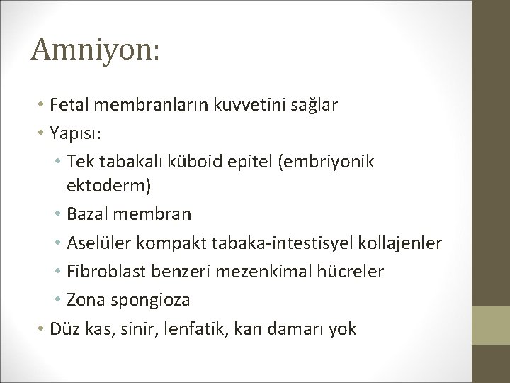 Amniyon: • Fetal membranların kuvvetini sağlar • Yapısı: • Tek tabakalı küboid epitel (embriyonik