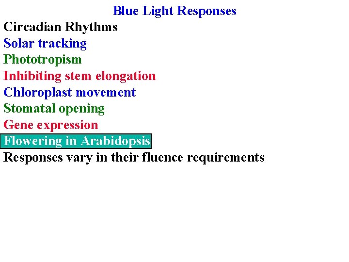 Blue Light Responses Circadian Rhythms Solar tracking Phototropism Inhibiting stem elongation Chloroplast movement Stomatal