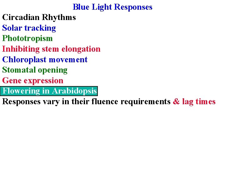 Blue Light Responses Circadian Rhythms Solar tracking Phototropism Inhibiting stem elongation Chloroplast movement Stomatal