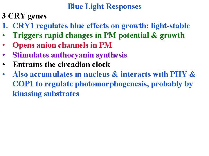 Blue Light Responses 3 CRY genes 1. CRY 1 regulates blue effects on growth: