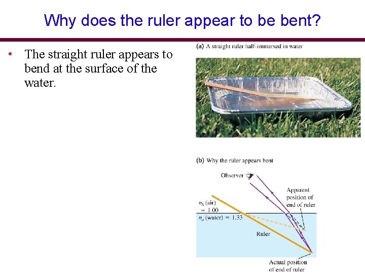 Why does the ruler appear to be bent? • The straight ruler appears to Why does the ruler appear to be bent? • The straight ruler appears to