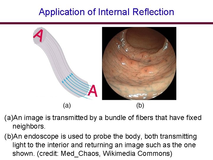 Application of Internal Reflection (a)An image is transmitted by a bundle of fibers that Application of Internal Reflection (a)An image is transmitted by a bundle of fibers that