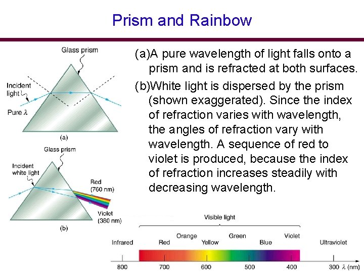Prism and Rainbow (a)A pure wavelength of light falls onto a prism and is Prism and Rainbow (a)A pure wavelength of light falls onto a prism and is
