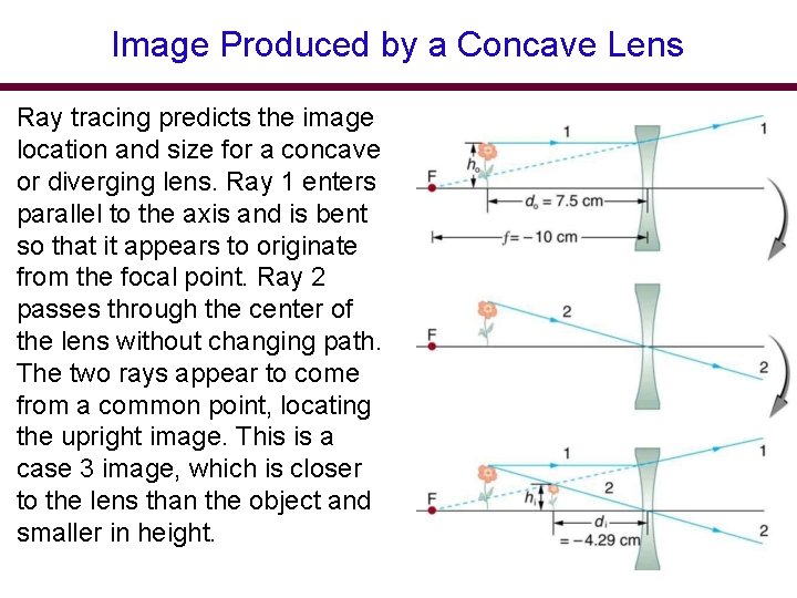Image Produced by a Concave Lens Ray tracing predicts the image location and size Image Produced by a Concave Lens Ray tracing predicts the image location and size