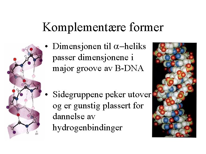 Komplementære former • Dimensjonen til heliks passer dimensjonene i major groove av B-DNA •