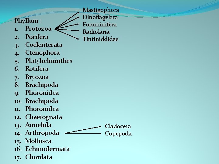 Phyllum : 1. Protozoa 2. Porifera 3. Coelenterata 4. Ctenophora 5. Platyhelminthes 6. Rotifera