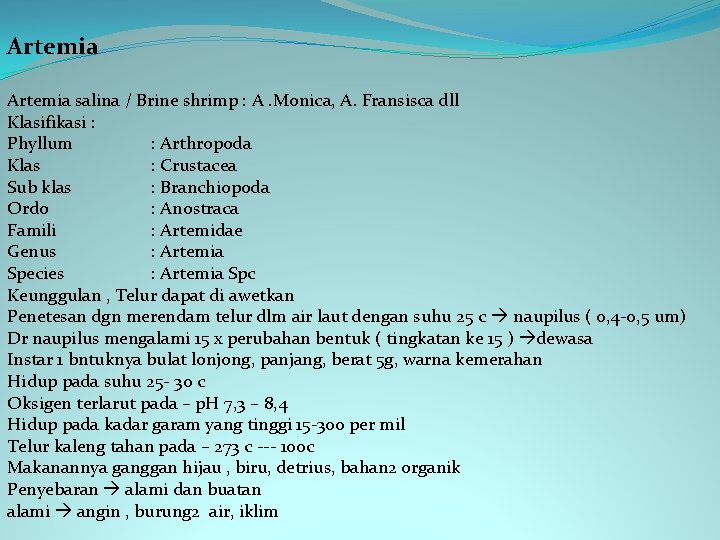 Artemia salina / Brine shrimp : A. Monica, A. Fransisca dll Klasifikasi : Phyllum