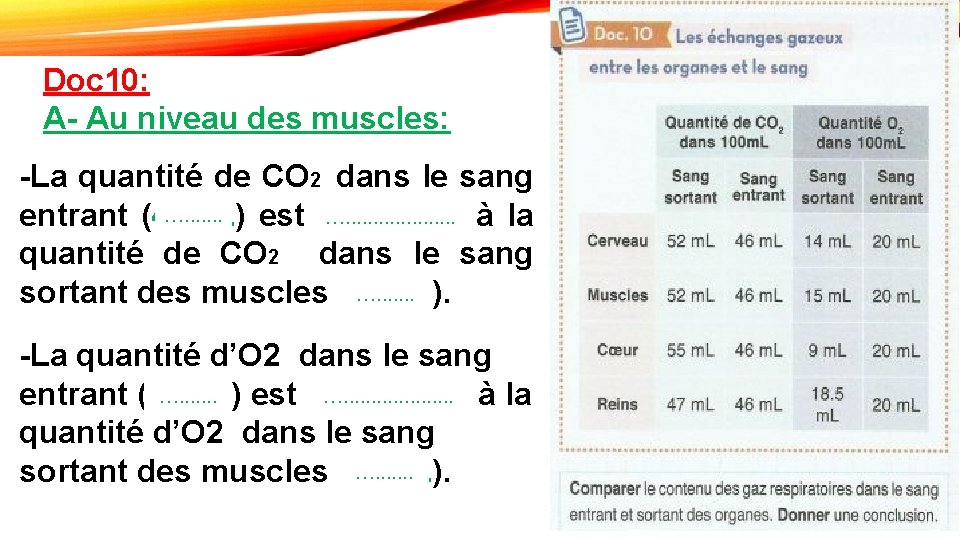 Doc 10: A- Au niveau des muscles: -La quantité de CO 2 dans le