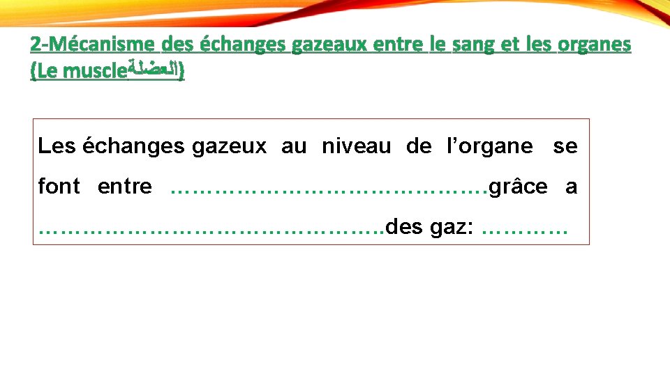 2 -Mécanisme des échanges gazeaux entre le sang et les organes (Le muscle )ﺍﻟﻌﻀﻠﺔ