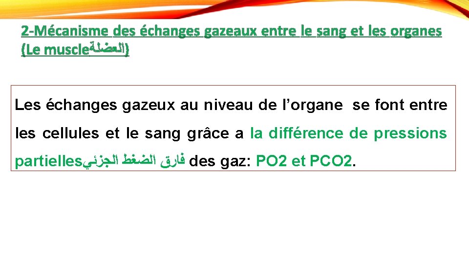 2 -Mécanisme des échanges gazeaux entre le sang et les organes (Le muscle )ﺍﻟﻌﻀﻠﺔ