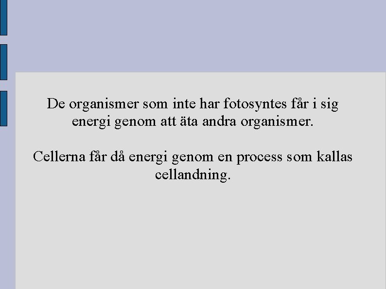 De organismer som inte har fotosyntes får i sig energi genom att äta andra