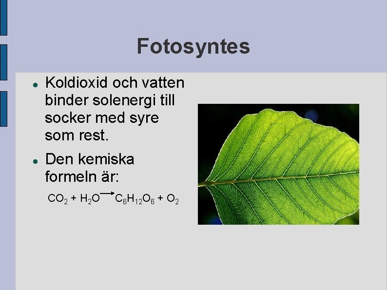 Fotosyntes Koldioxid och vatten binder solenergi till socker med syre som rest. Den kemiska