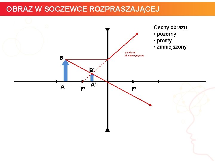 OBRAZ W SOCZEWCE ROZPRASZAJĄCEJ Cechy obrazu • pozorny • prosty • zmniejszony promienie charakterystyczne