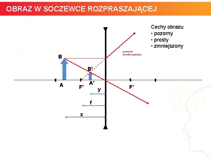 OBRAZ W SOCZEWCE ROZPRASZAJĄCEJ Cechy obrazu • pozorny • prosty • zmniejszony promienie charakterystyczne